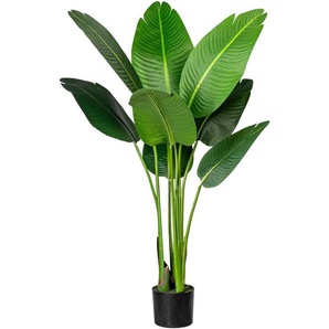 Künstliche Zimmerpflanze Strelitzia Strelitzia, Creativ green, Höhe 120 cm