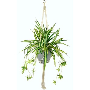 Künstliche Zimmerpflanze Wasserlilie, I.GE.A., Höhe 95 cm, im Kunststofftopf, mit Hängeampel