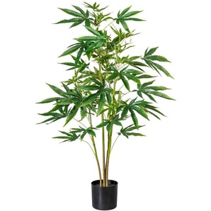 Künstliche Zimmerpflanze Zierhanfpflanze Zierhanf, Creativ green, Höhe 90 cm