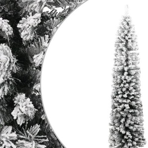 Weihnachtsbäume – kein Fest ohne sie | Moebel24