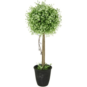 Kunstbaum I.GE.A. Buchskugelbaum Kunstpflanzen Gr. B/H: 20 cm x 50 cm, 1 St., grün Kunstbaum Kunst-Bäume Kunstpflanzen im Kunststofftopf