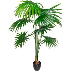 Kunstbaum Washingtonia Grünpflanze, Creativ green, Höhe 150 cm