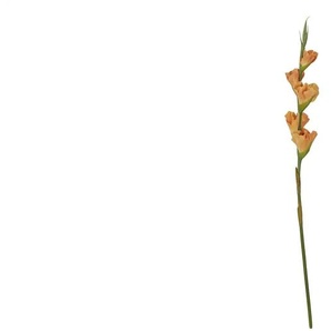 Kunstblume Gladiole - orange - Kunststoff,Eisendraht - 84 cm | Möbel Kraft