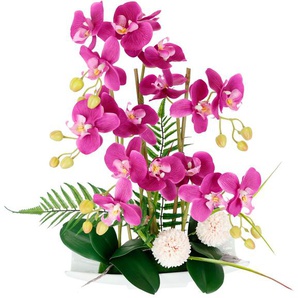 Kunstblume I.GE.A. Orchideen Kunstpflanzen Gr. B/H/L: 35 cm x 52 cm x 24 cm, 1 St., rosa Kunst-Blumen
