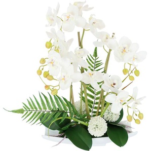 Kunstblume I.GE.A. Orchideen Kunstpflanzen Gr. B/H/L: 35 cm x 52 cm x 24 cm, 1 St., weiß Kunst-Blumen