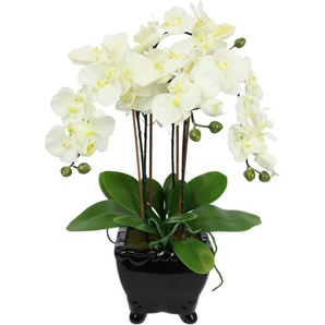 Kunstblume Künstliche Orchidee in Schale Phalaenopsis Kunstblume Blume, I.GE.A., Höhe 60 cm, Kunstorchidee Deko Dekoblume Seidenblume