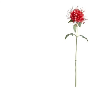 HOME STORY Kunstblume Monarda   ¦ rot ¦ Kunststoff