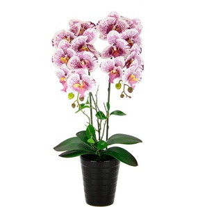 Kunstblume Orchidee, I.GE.A., Höhe 58 cm, Im Topf Phalaenopsis Orchidee Phalaenopsis mit Übertopf Hochzeit
