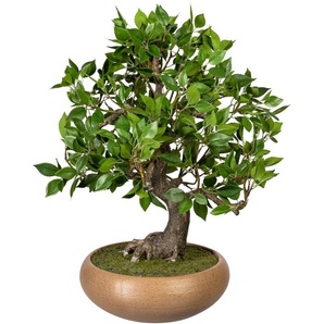 Kunstbonsai CREATIV GREEN Bonsai Ficus Kunstpflanzen Gr. Ø/H: 40 cm x 50 cm, 1 St., grün Kunst-Bonsai