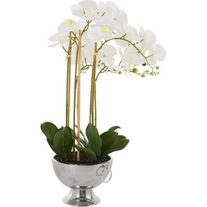Kunstorchidee Couturier Orchidee, Guido Maria Kretschmer Home&Living, Höhe 70 cm, Kunstpflanze, im Topf, Keramikschale