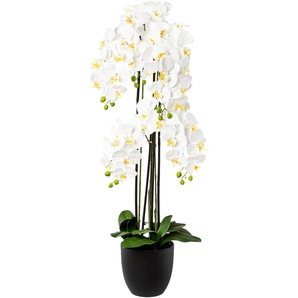 Kunstorchidee CREATIV GREEN Phalaenopsis im Resintopf Kunstpflanzen Gr. H: 119 cm, 1 St., weiß Kunst-Orchideen