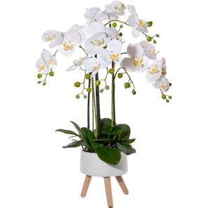 Kunstorchidee Orchidee Phalaenopsis in Keramikschale Orchidee Phalaenopsis, Creativ green, Höhe 75 cm, mit Real-Touch-Blüten und auf Füßen
