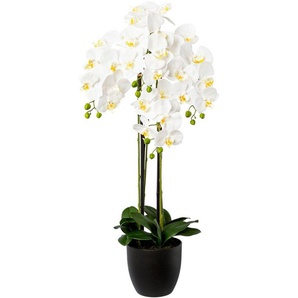 Kunstorchidee Phalaenopsis im Resintopf Orchidee Phalaenopsis, Creativ green, Höhe 99 cm, mit Real-Touch-Blüten