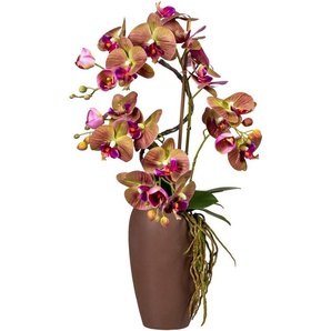 Kunstorchidee Phalaenopsisarrangement in Keramikvase Orchidee Phalaenopsis, Creativ green, Höhe 70 cm
