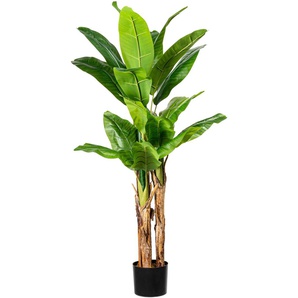 Kunstpalme CREATIV GREEN Bananenpflanze Kunstpflanzen Gr. H: 150 cm, 1 St., grün Kunstpalmen