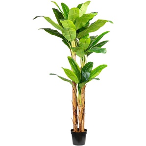 Kunstpalme CREATIV GREEN Bananenpflanze Kunstpflanzen Gr. H: 240 cm, 1 St., grün Kunstpalmen