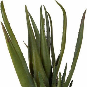 Kunstpflanze Aloe, Creativ green, Höhe 44 cm