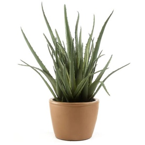 Kunstpflanze Aloe Vera, grün, 41 cm