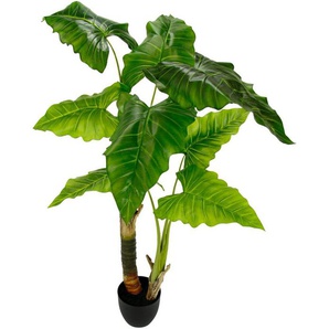 Kunstpflanze Blattpflanze, I.GE.A., Höhe 125 cm, im Kunststofftopf
