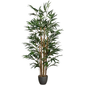 Kunstpflanze CREATIV GREEN Bambus Kunstpflanzen Gr. B/H: 8 cm x 120 cm, 1 St., grün Künstliche Zimmerpflanze Kunstpflanze Zimmerpflanzen Kunstpflanzen