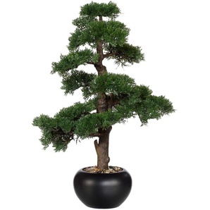 Kunstpflanze CREATIV GREEN Bonsai Kunstpflanzen Gr. H: 70 cm, 1 St., grün Kunstbonsai Kunstpflanzen