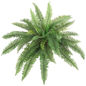 Kunstpflanze, Creativ green, Höhe 45 cm