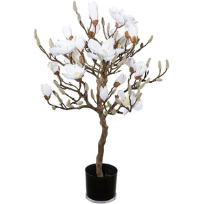 Kunstpflanze CREATIV GREEN Magnolienbaum Kunstpflanzen Gr. H: 94 cm, 1 St., weiß Künstliche Zimmerpflanzen