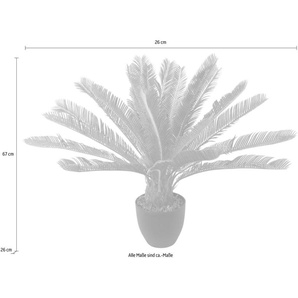 Kunstpflanze Cycaspalme im Topf Cycaspalme, I.GE.A., Höhe 67 cm