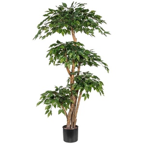 Kunstpflanze Ficus Benjamini, Creativ green, Höhe 170 cm