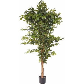 Kunstpflanze Ficus Benjamini Grünpflanze, Creativ green, Höhe 150 cm