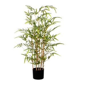 Kunstpflanze GASPER Kunstpflanzen Gr. B/H: 55 cm x 100 cm, 1 St., grün Künstliche Zimmerpflanzen