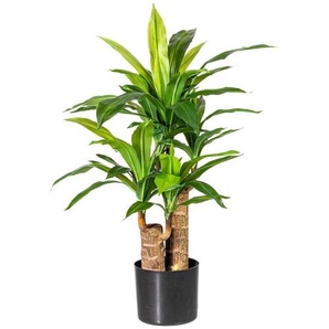Kunstpflanze, Grün, Kunststoff, 80 cm, inkl. Topf, Dekoration, Blumen & Zubehör, Kunstpflanzen
