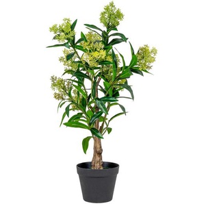 Kunstpflanze, Grün, Schwarz, Kunststoff, 75 cm, inkl. Topf, Dekoration, Blumen & Zubehör, Kunstpflanzen
