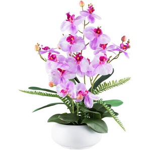 Kunstpflanze, Grün, Weiß, Violett, Kunststoff, 55 cm, inkl. Topf, Real-Touch-Oberfläche, Dekoration, Blumen & Zubehör, Kunstpflanzen