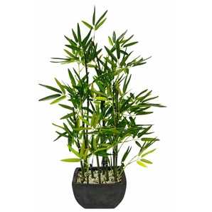 Kunstpflanze I.GE.A. Bambus Kunstpflanzen Gr. B/H: 19 cm x 75 cm, 1 St., grün Kunstpflanze Zimmerpflanze Künstliche Zimmerpflanzen Kunstpflanzen