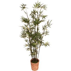 Kunstpflanze I.GE.A. Bambus Kunstpflanzen Gr. B/H: 45 cm x 150 cm, 1 St., grün Künstliche Zimmerpflanzen