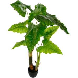 Kunstpflanze I.GE.A. Blattpflanze Kunstpflanzen Gr. B/H: 80 cm x 125 cm, 1 St., grün Zimmerpflanze Künstliche Zimmerpflanzen Kunstpflanzen im Kunststofftopf