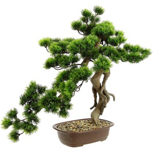 Kunstpflanze I.GE.A. Bonsai Baum in Schale Kunstpflanzen Gr. B/H/L: 48 cm x 58 cm x 30 cm, 1 St., grün Künstliche Zimmerpflanzen
