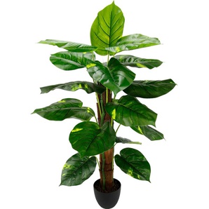 Kunstpflanze I.GE.A. Kunstpflanzen Gr. B/H: 45 cm x 85 cm, 1 St., grün Kunstpflanze Zimmerpflanze Künstliche Zimmerpflanzen Kunstpflanzen