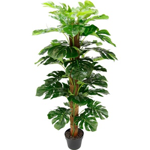 Kunstpflanze I.GE.A. Kunstpflanzen Gr. B/H: 56 cm x 120 cm, 1 St., grün Künstliche Zimmerpflanzen
