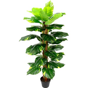Kunstpflanze I.GE.A. Kunstpflanzen Gr. B/H: 60 cm x 120 cm, 1 St., grün Kunstpflanze Zimmerpflanze Künstliche Zimmerpflanzen Kunstpflanzen
