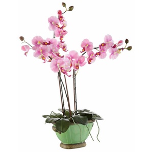 Kunstpflanze I.GE.A. Orchidee Kunstpflanzen Gr. B/H: 35 cm x 60 cm, 1 St., rosa Kunstorchidee Kunstpflanze Zimmerpflanze Künstliche Zimmerpflanzen Kunstpflanzen