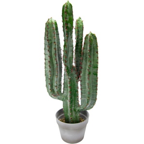 Kunstpflanze I.GE.A. Säulenkaktus Kunstpflanzen Gr. B/H/L: 26 cm x 70 cm x 26 cm, 1 St., grün Künstliche Zimmerpflanzen 70 cm