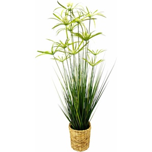 Kunstpflanze I.GE.A. Zyperngras in Wasserhyazinthentopf Kunstpflanzen Gr. B/H: 39 cm x 120 cm, 1 St., grün Künstliche Zimmerpflanzen