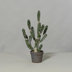 Kunstpflanze , Kunststoff , 63 cm , Dekoration, Kunstblumen