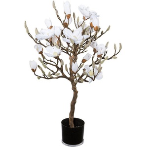 Kunstpflanze Magnolienbaum, Creativ green, Höhe 94 cm