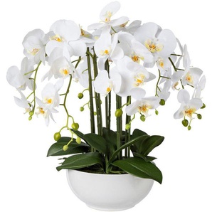 Kunstpflanze Orchidee, Creativ green, Höhe 54 cm