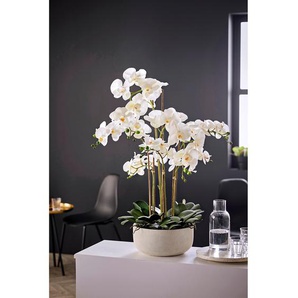 Kunstpflanze Orchideentopf Royal