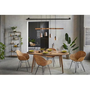 Kunstpflanze Traveller Palme