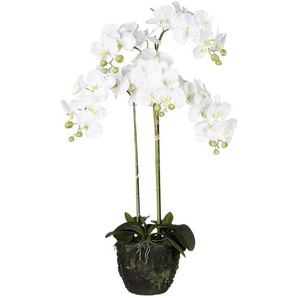 Kunstpflanze , Weiß , Kunststoff , 100 cm , Dekoration, Kunstblumen